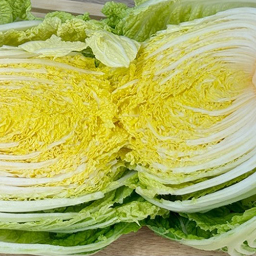 해풍맞은 베타카로틴 미니배추 알배추 2.5kg/5kg